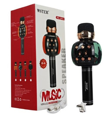 Portable Multi Function Wireless Microphone